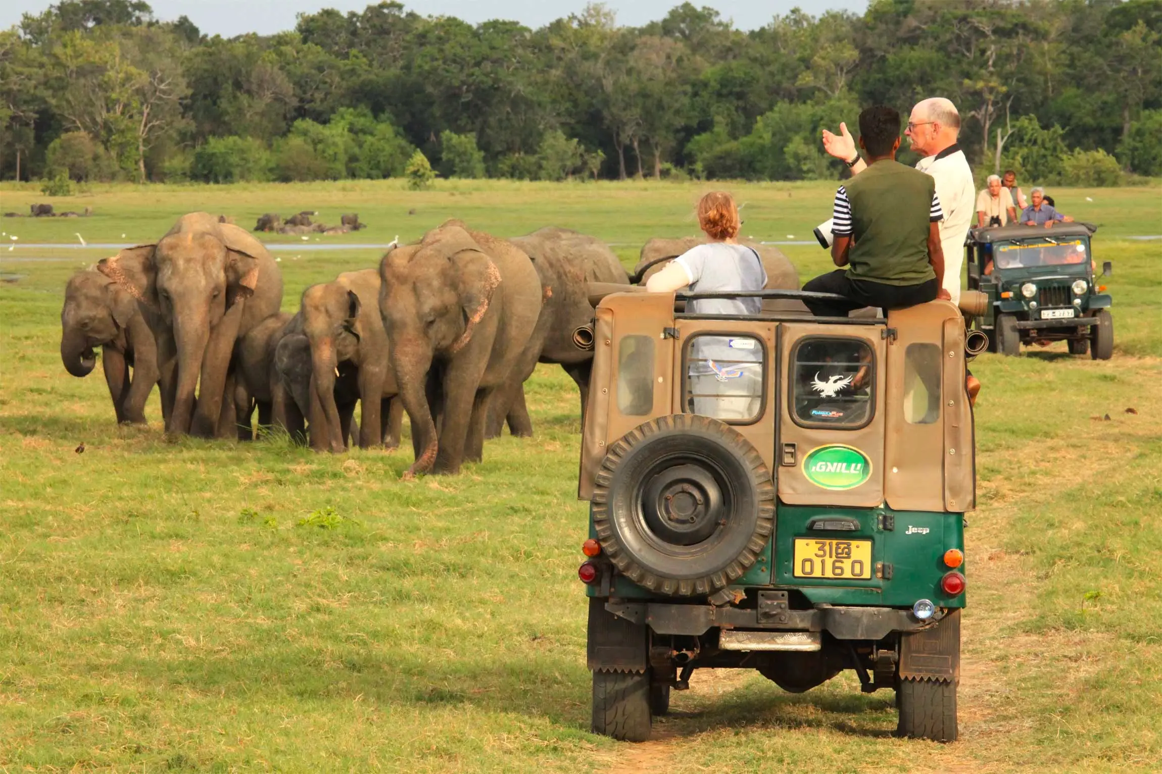 Minneriya Private Jeep Safari – Sri Lanka Day Tour