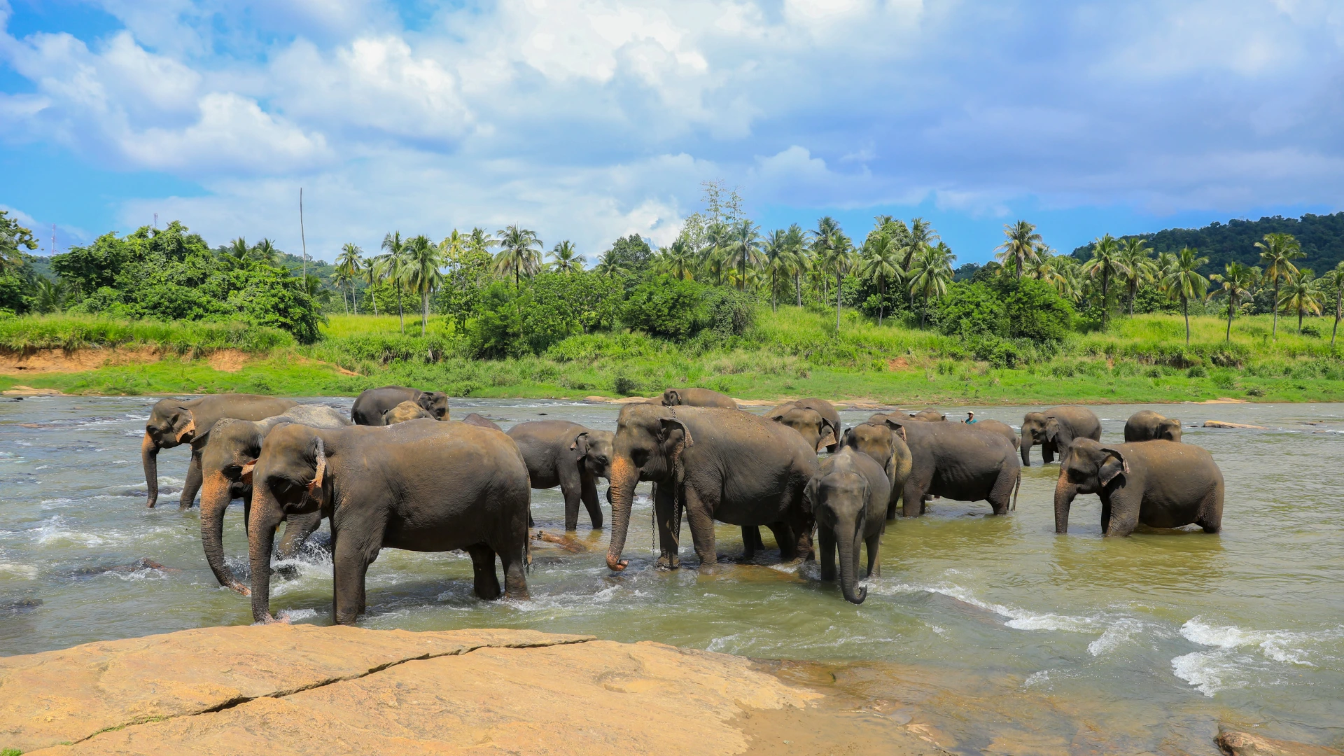Day 2 – Negombo → Sigiriya