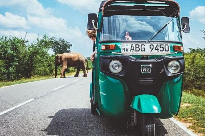 Tuk Tuk city tour Colombo